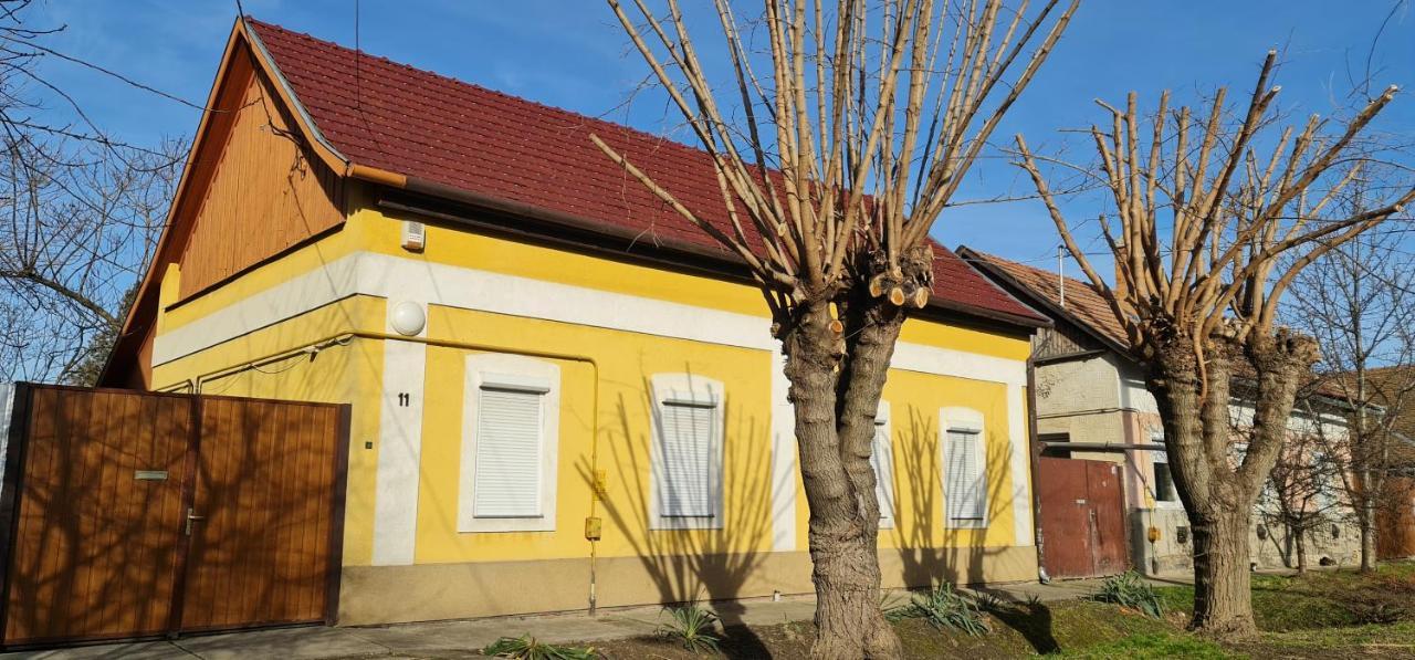 شقة Koelcsey Vendeghaz Hódmezővásárhely المظهر الخارجي الصورة